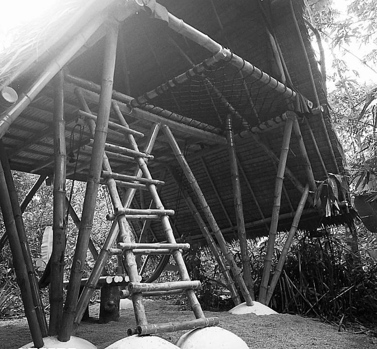 Ecocio Jungle Hostel Coron Dış mekan fotoğraf