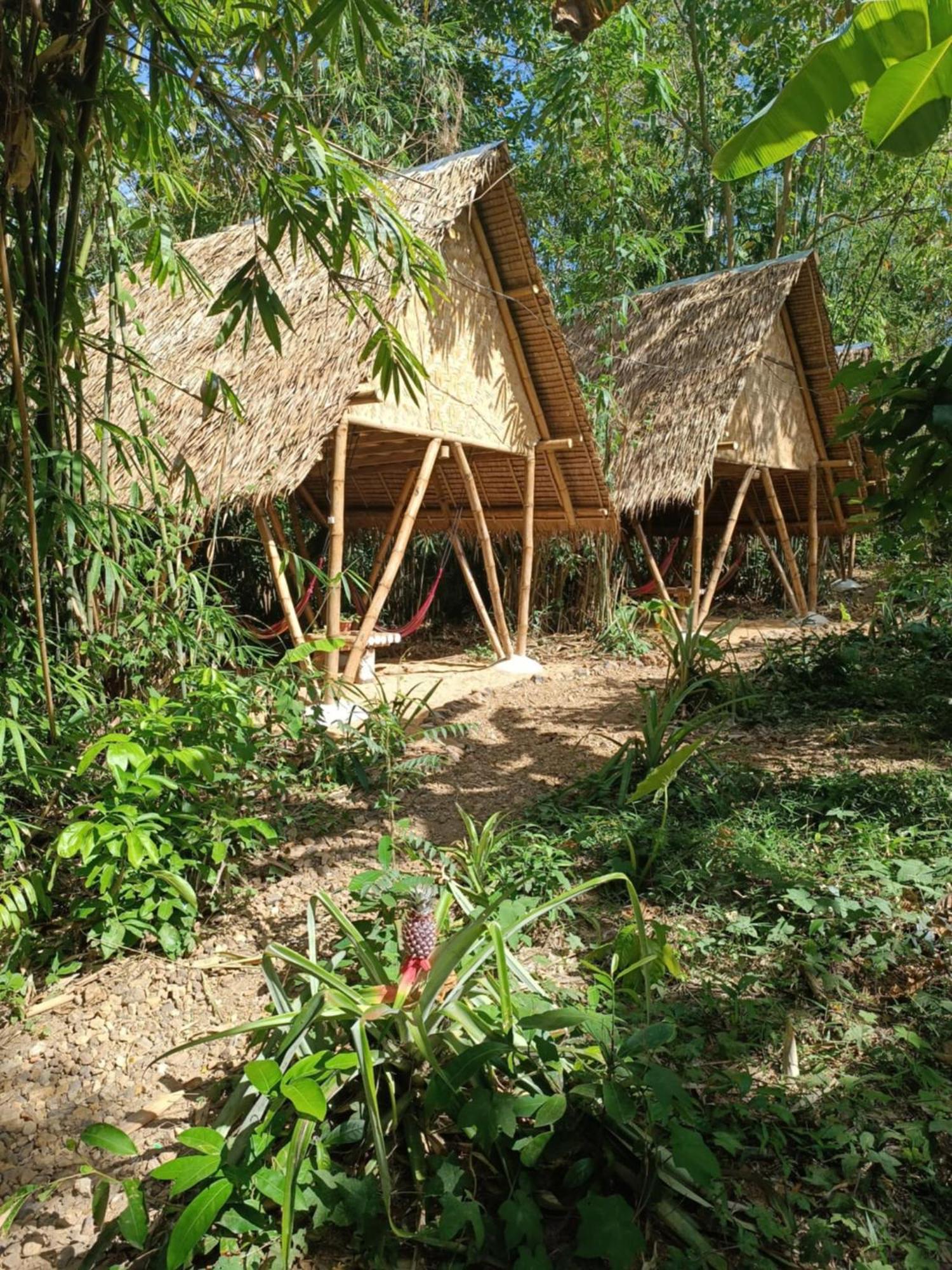 Ecocio Jungle Hostel Coron Dış mekan fotoğraf