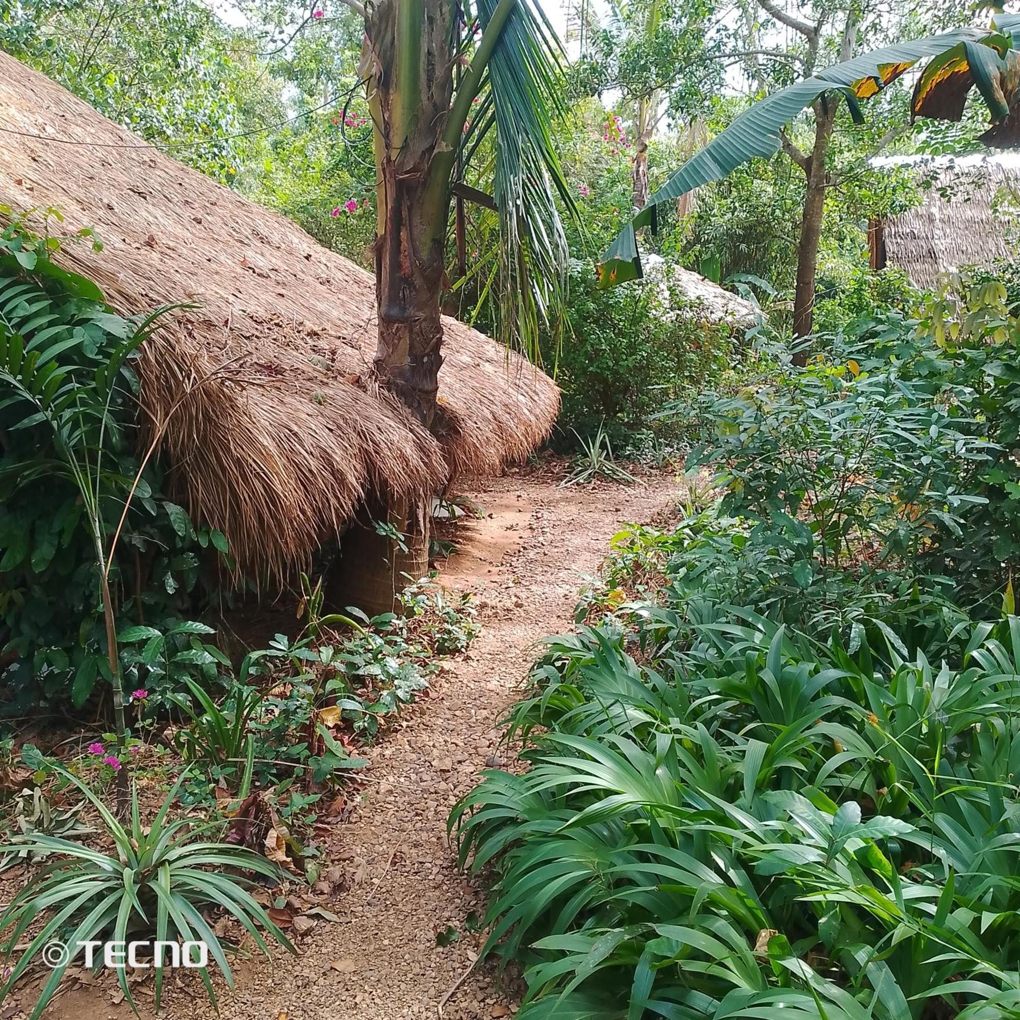 Ecocio Jungle Hostel Coron Dış mekan fotoğraf