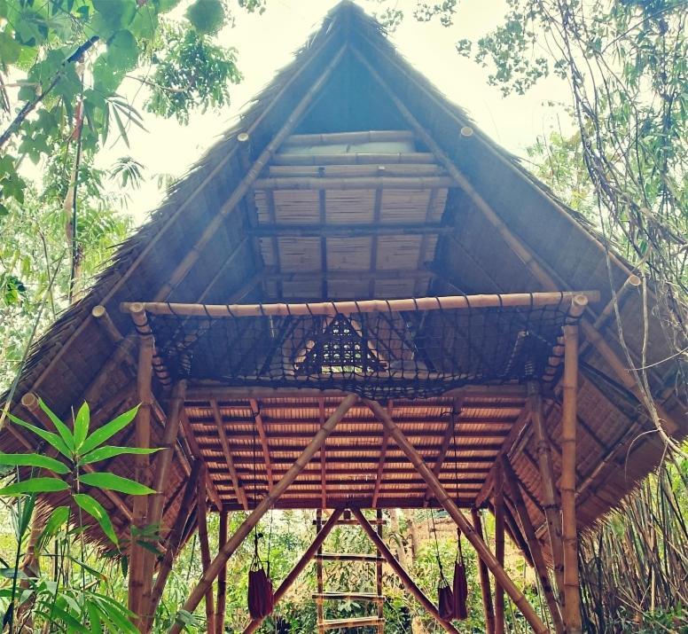 Ecocio Jungle Hostel Coron Oda fotoğraf