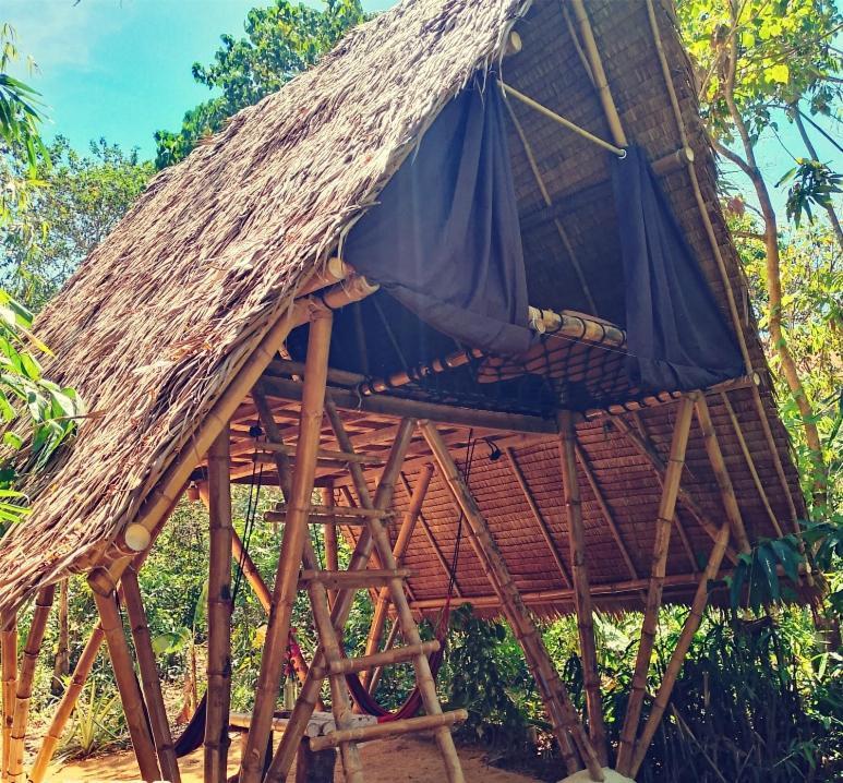 Ecocio Jungle Hostel Coron Oda fotoğraf