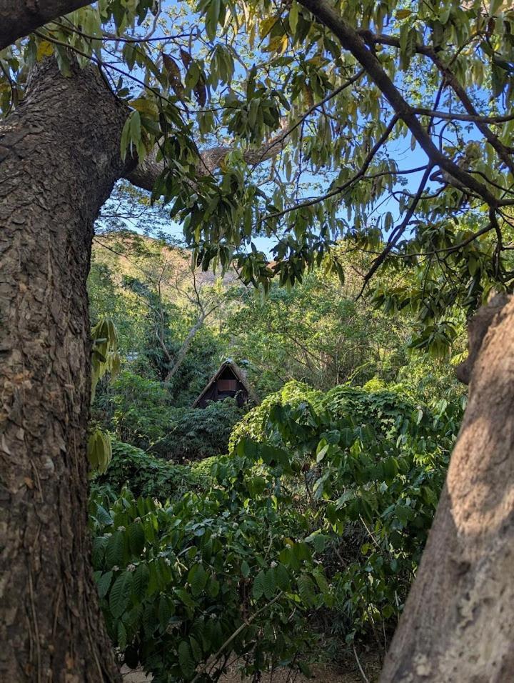 Ecocio Jungle Hostel Coron Dış mekan fotoğraf