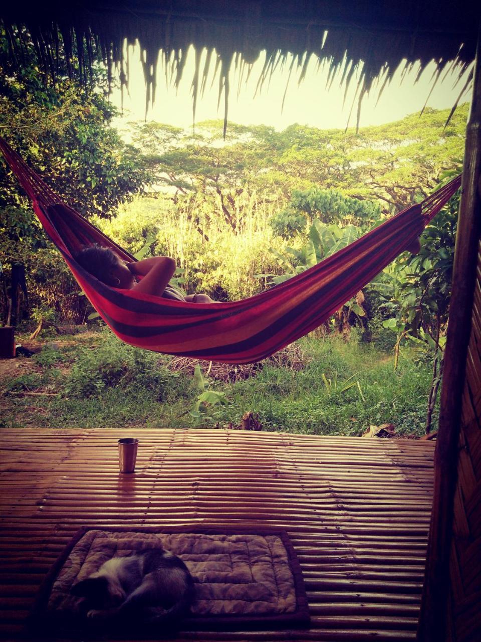 Ecocio Jungle Hostel Coron Dış mekan fotoğraf
